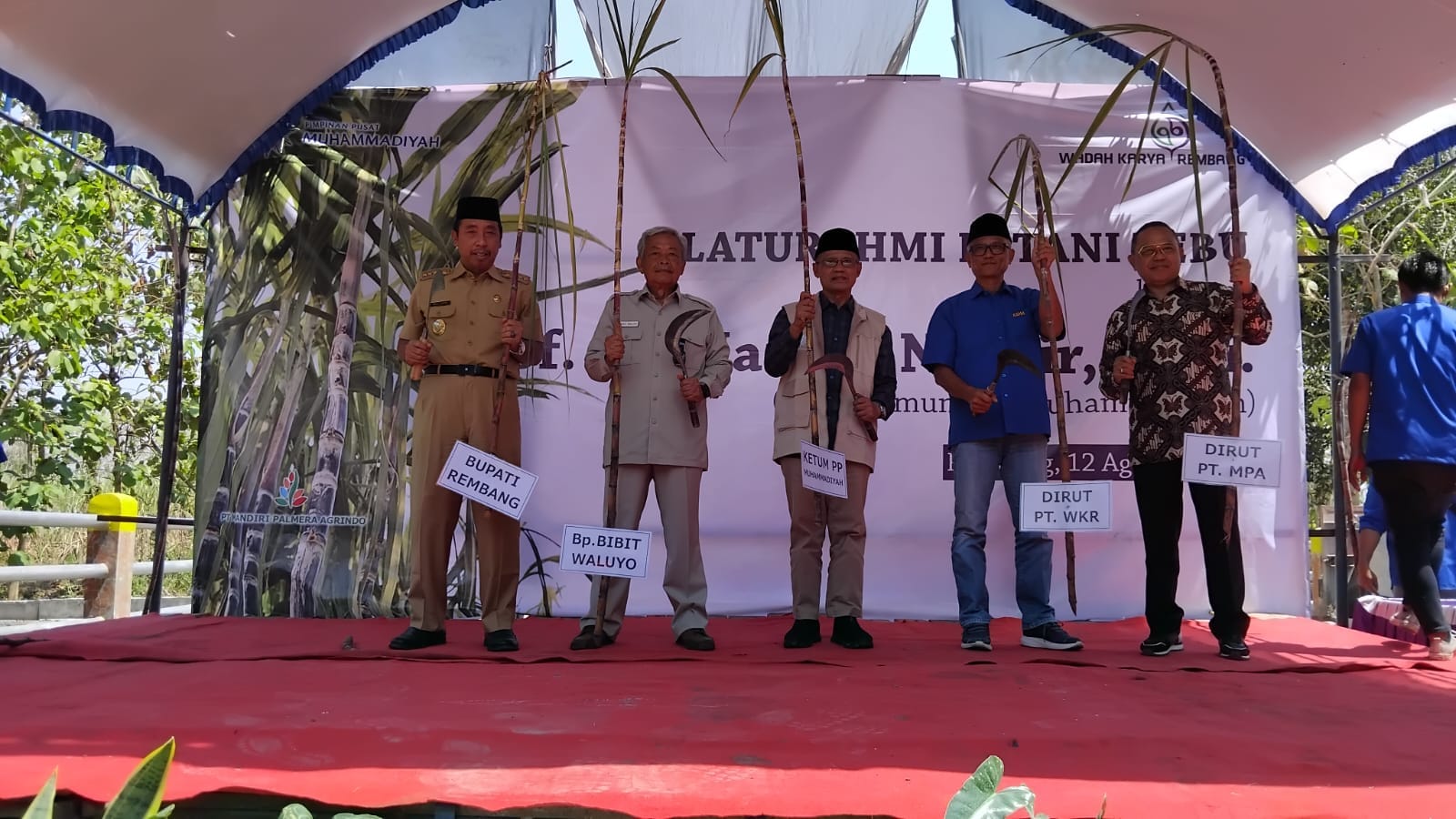 Di Rembang, kini telah berdiri pabrik tebu