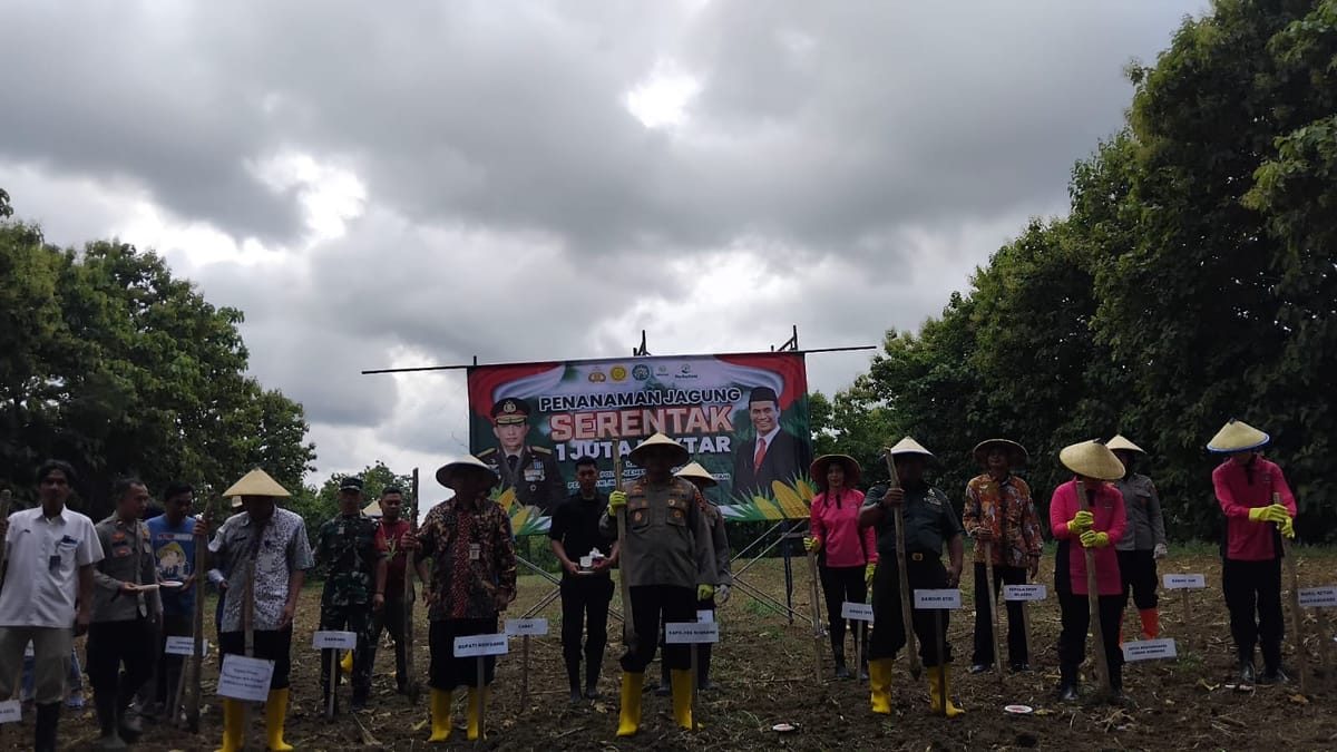 Penanaman jagung serentak 1 juta hektar lahan sasar Desa Mlagen