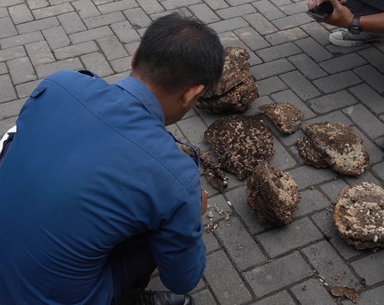 Ini Dia, Tips Petugas Damkar Tambah Asupan Protein Tinggi