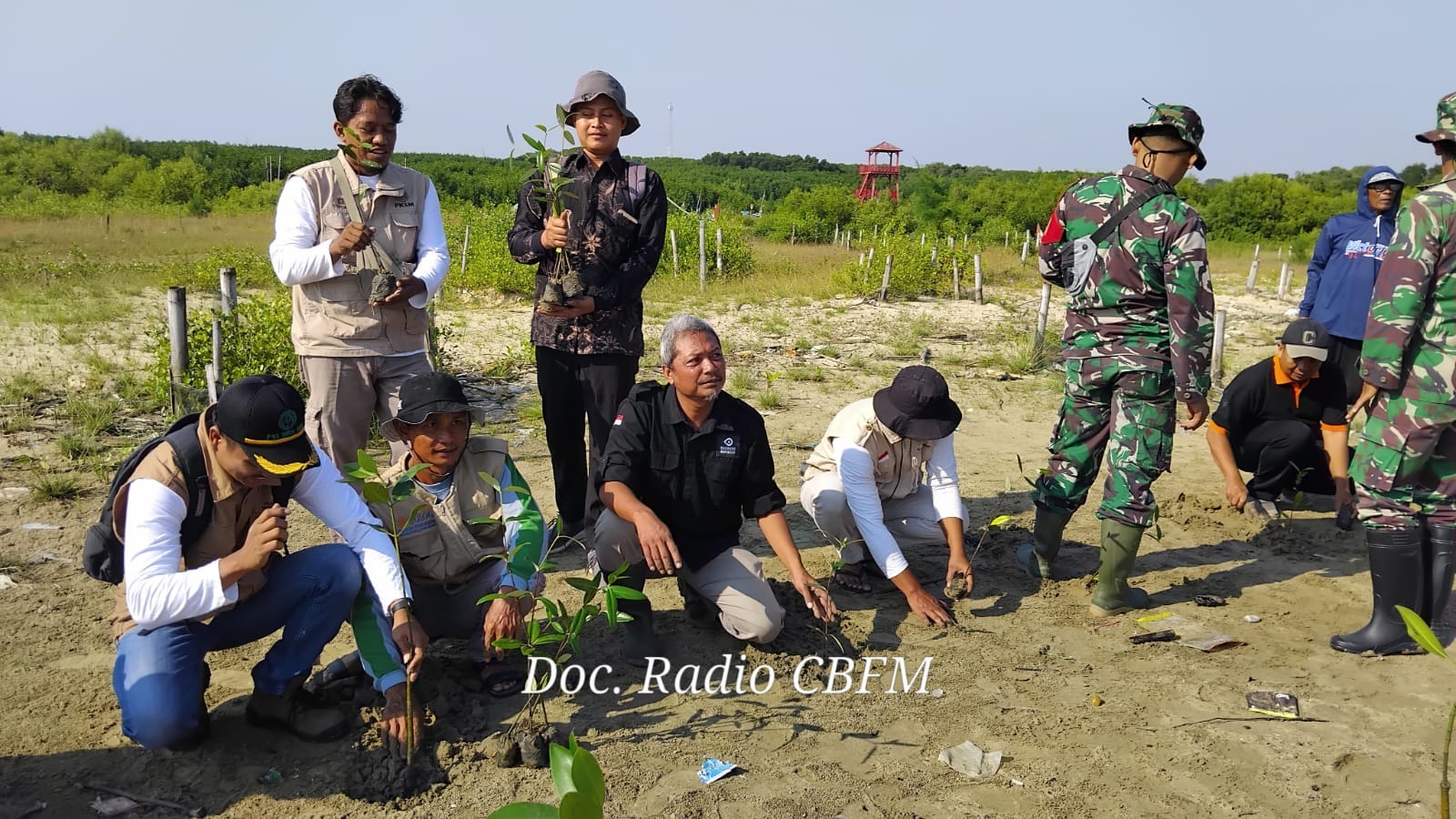 Mageri Segoro di Rembang dengan tanam 1.200 mangrove