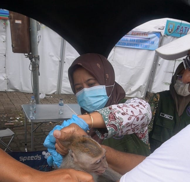 Dapat Pakan Gratis, Stand Vaksin Rabies Ramai Peminat