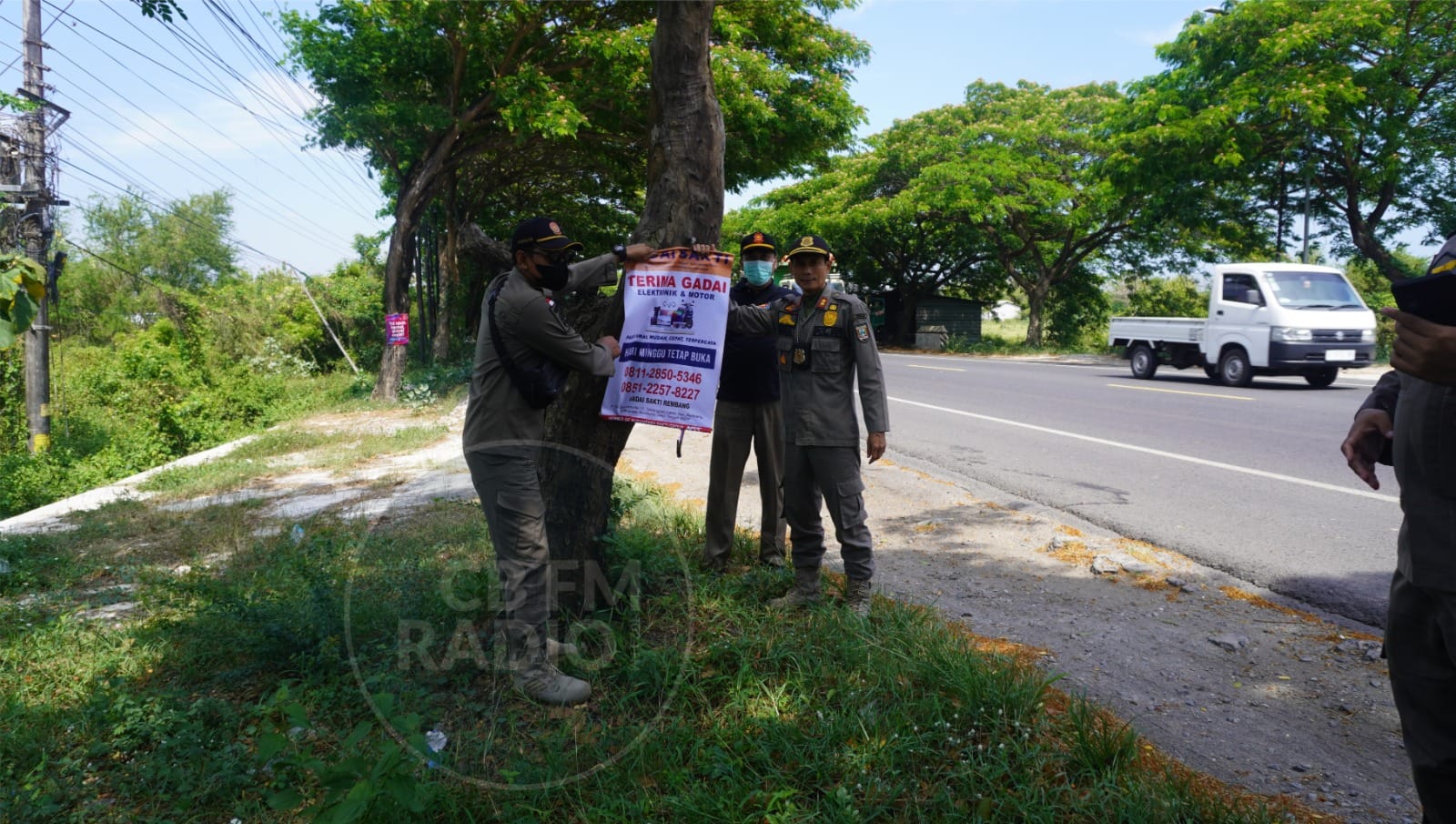 Menjamur, Satpol PP Tertibkan Banner yang Dipaku di Pohon