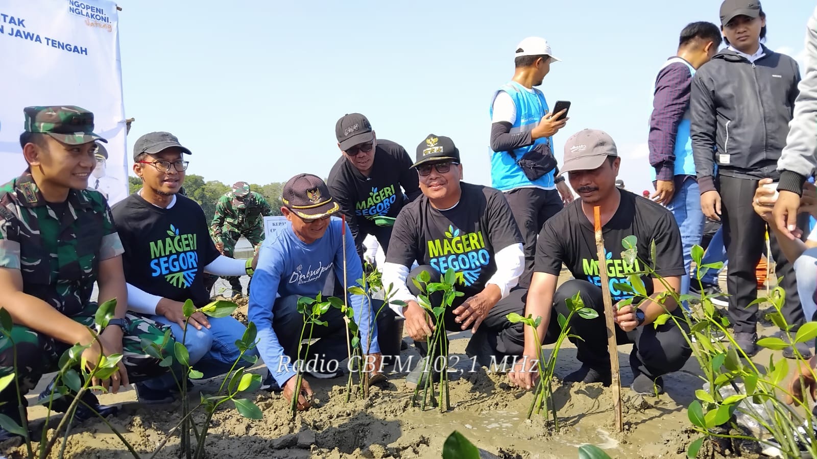 Mageri Segoro Rembang tanam 36.200 bibit mangrove