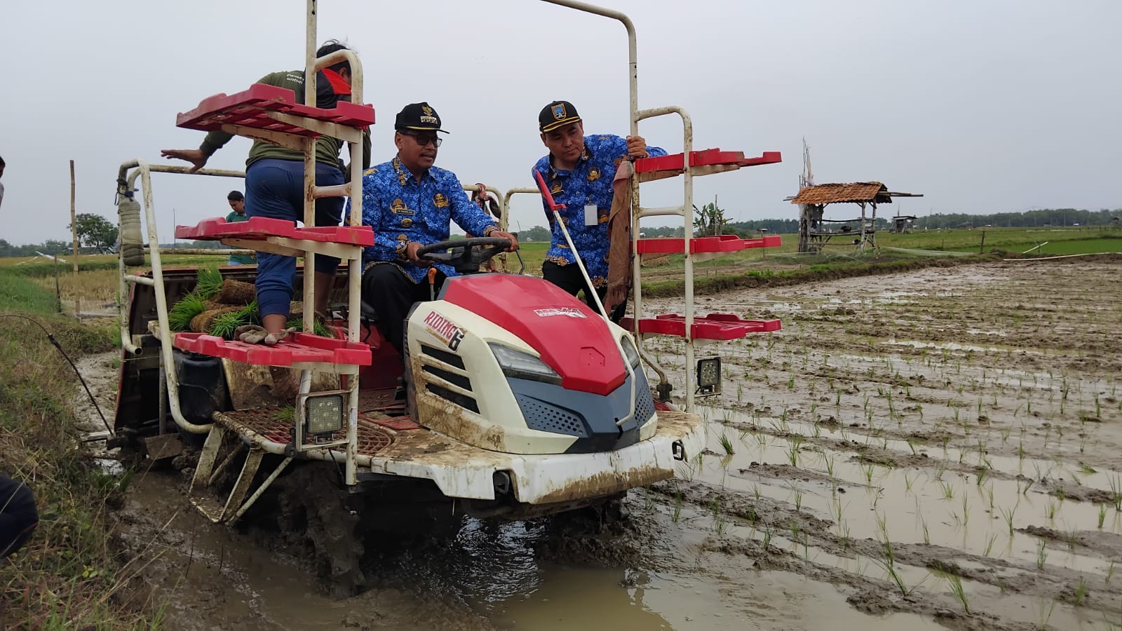 Rembang ikut bangga Indonesia swasembada pangan