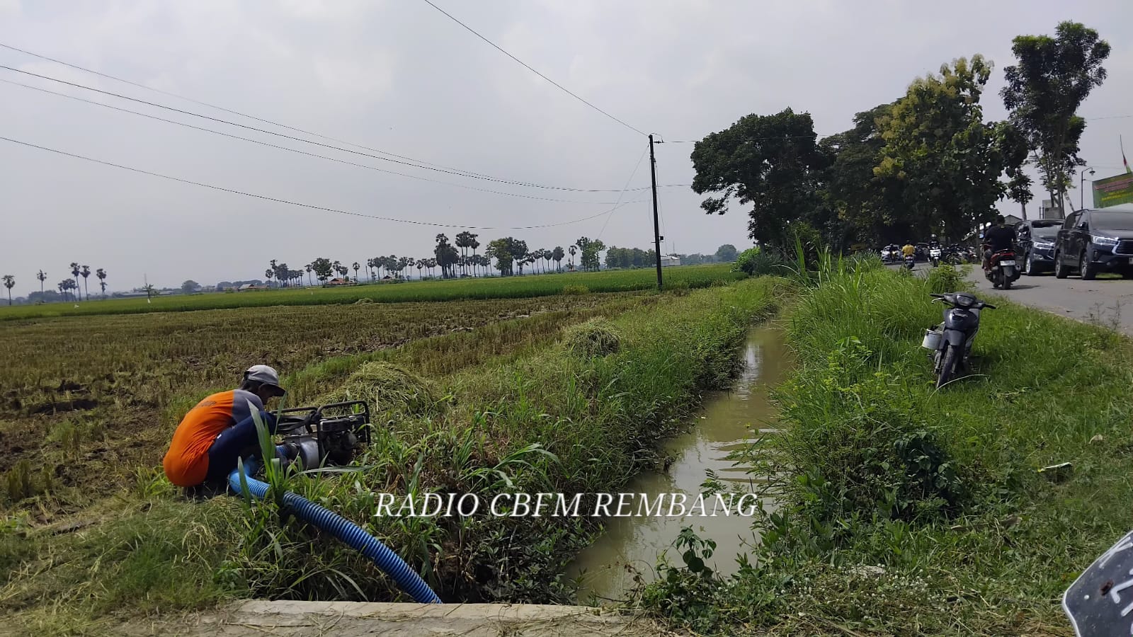 Sungai Mojorembun perlu normalisasi