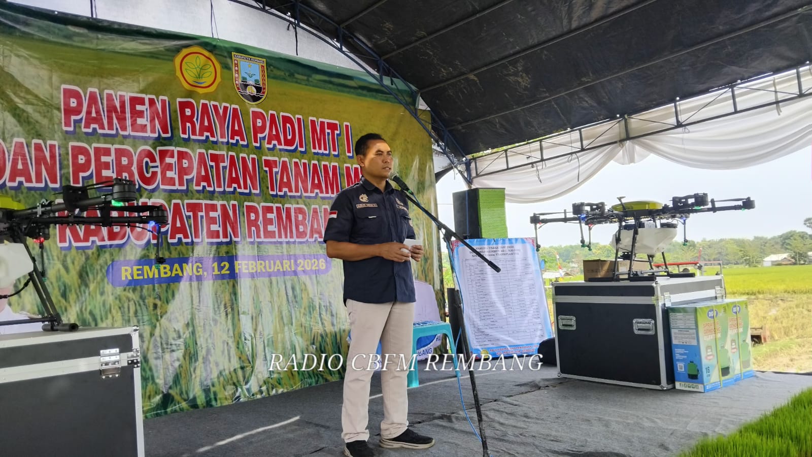 Petani padi masuki panen raya