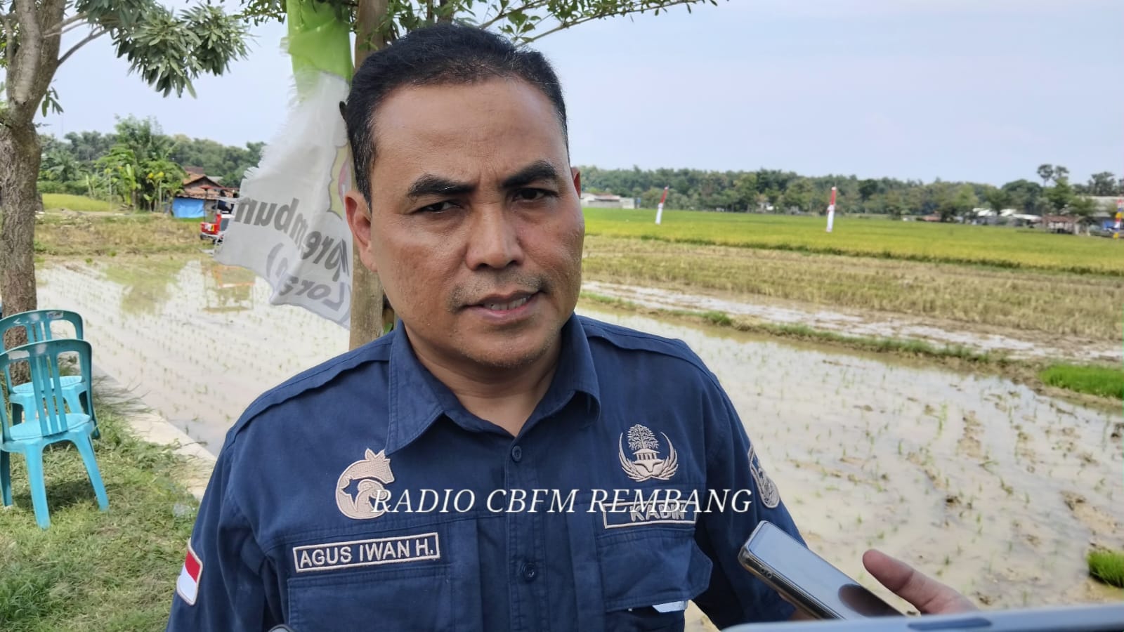Petani di Rembang mulai panen MT 2