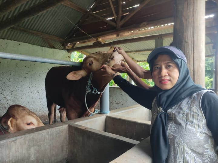 2 sapi kurban Presiden Prabowo di sembelih di Rembang